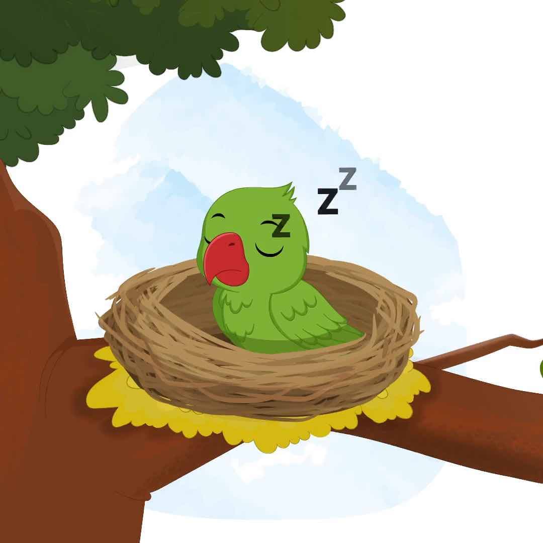 A green parrot sleeping animated vector cartoon character AKA Mithu