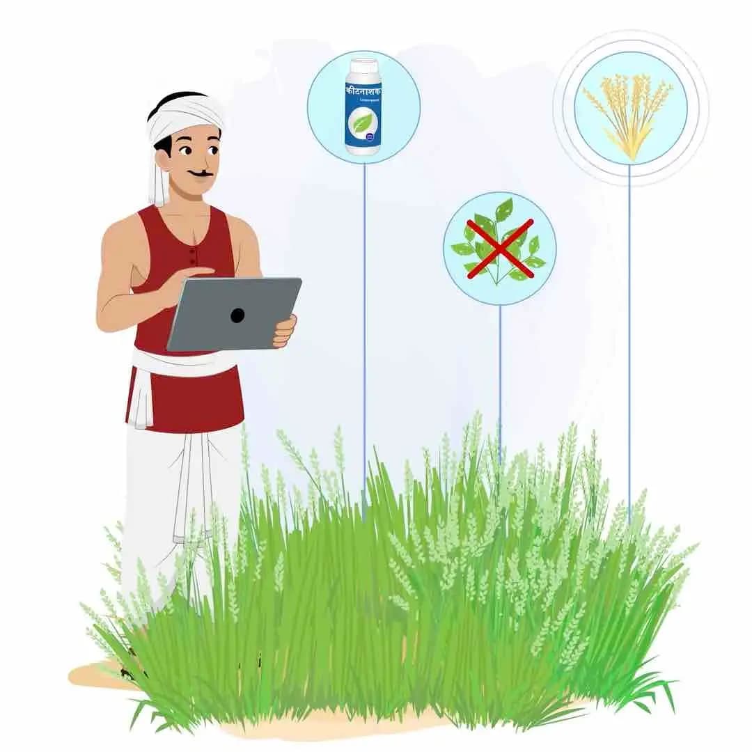 Animated Indian farmer cartoon explaining crop details, wearing red t-shirt and white dhoti with turban and moustache — editable 2D vector for agriculture, rural, and desi projects