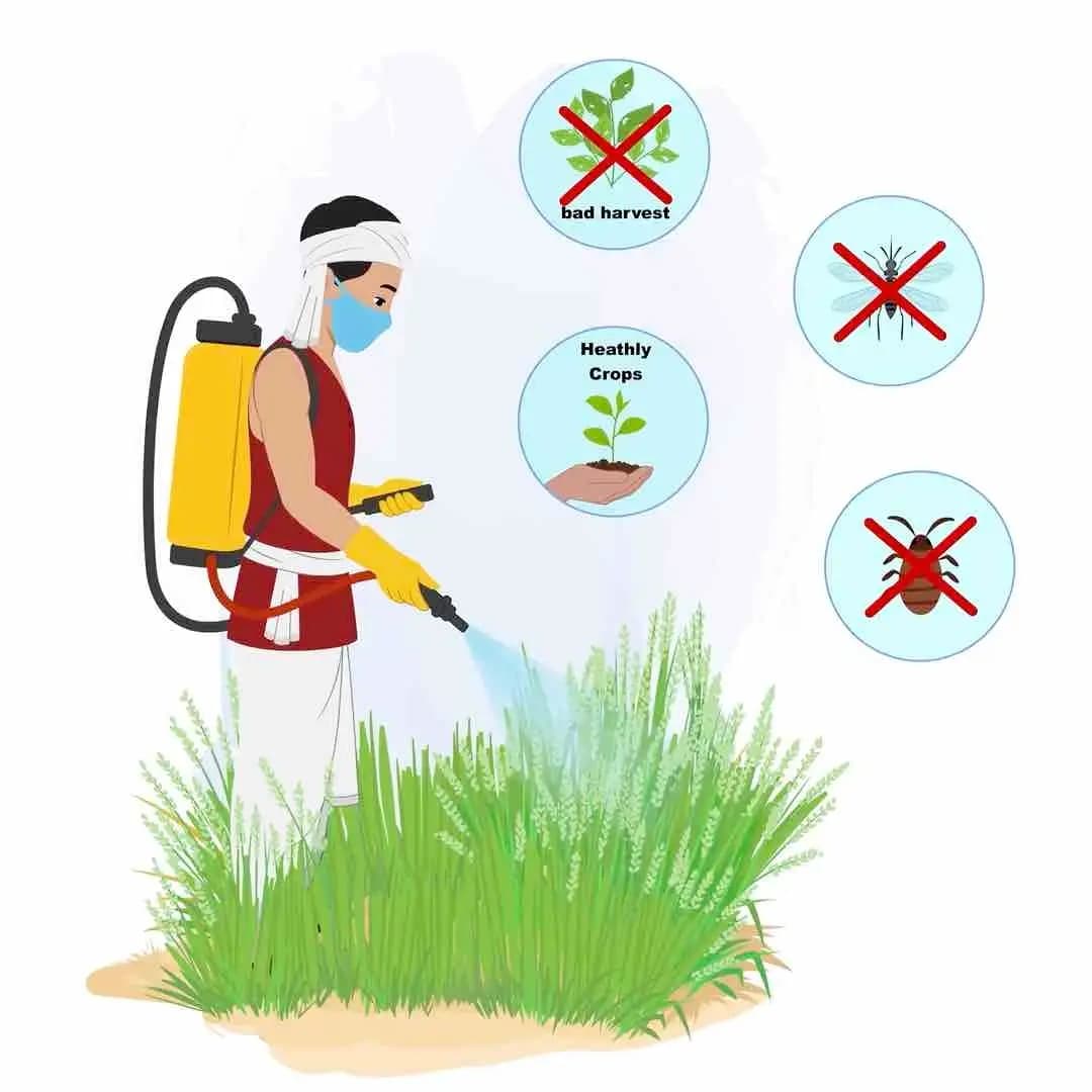 Animated Indian farmer cartoon spraying fertilizer in field, wearing red t-shirt and white dhoti with turban and moustache — editable 2D vector for agriculture, rural, and desi projects