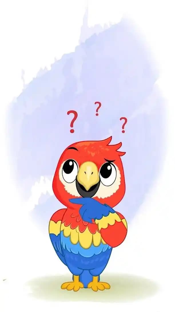 Macaw cartoon confused animation vector character AKA Tojo