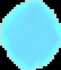 subcribe the mail now